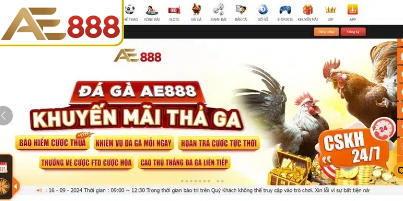 Tỷ lệ cược phong phú 
